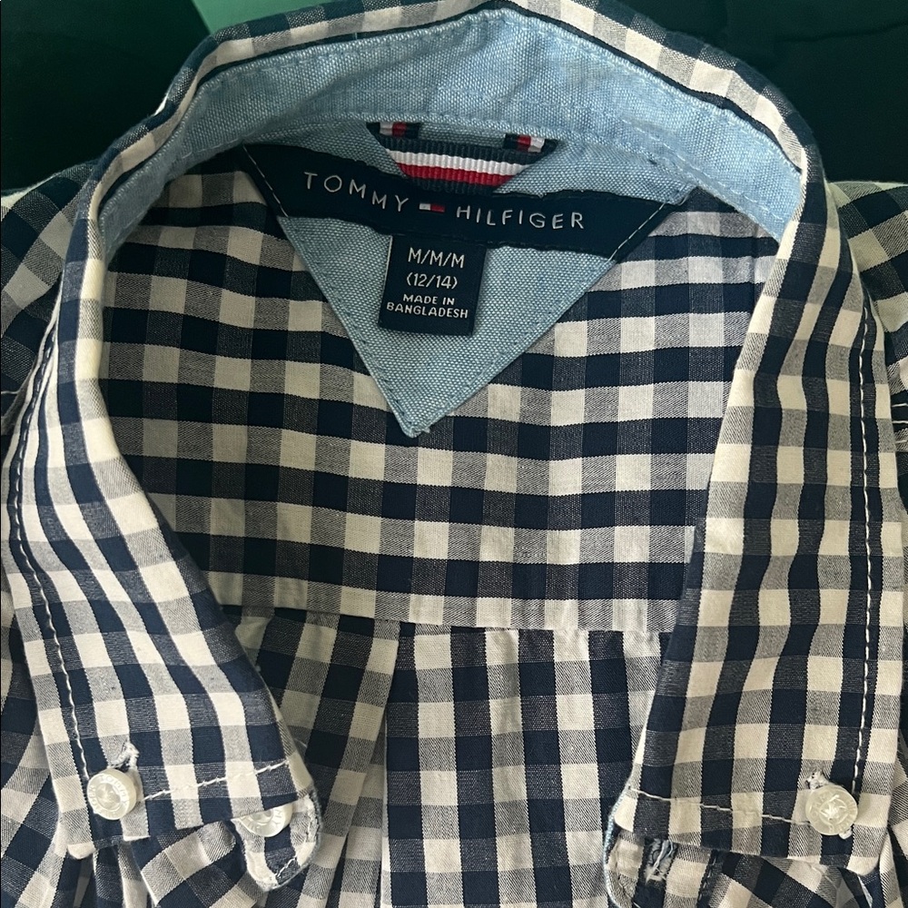 Boys Tommy Hilfiger Blue and White Gingham Casual Shirt